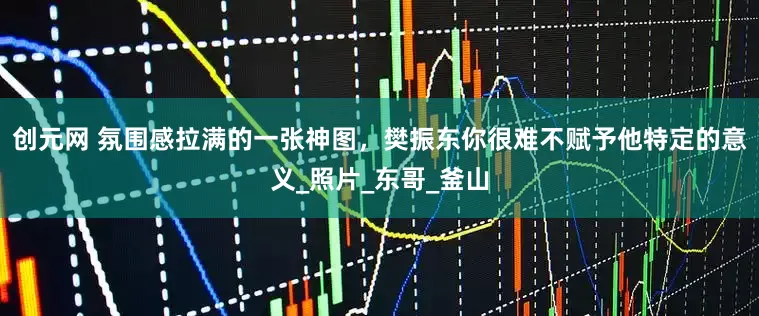 创元网 氛围感拉满的一张神图，樊振东你很难不赋予他特定的意义_照片_东哥_釜山