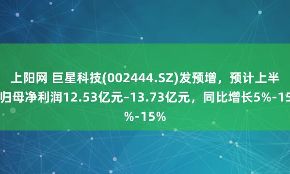 上阳网 巨星科技(002444.SZ)发预增，预计上半年归母净利润12.53亿元–13.73亿元，同比增长5%-15%