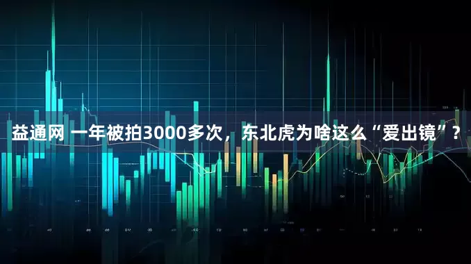 益通网 一年被拍3000多次，东北虎为啥这么“爱出镜”？